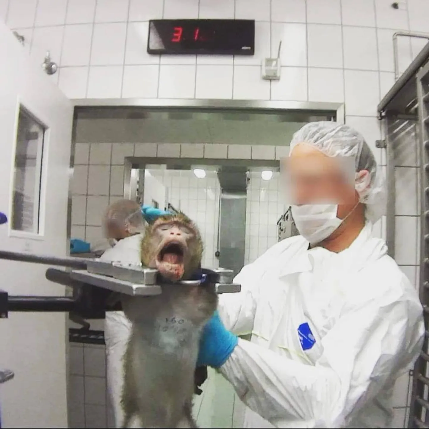 Скриншот видео