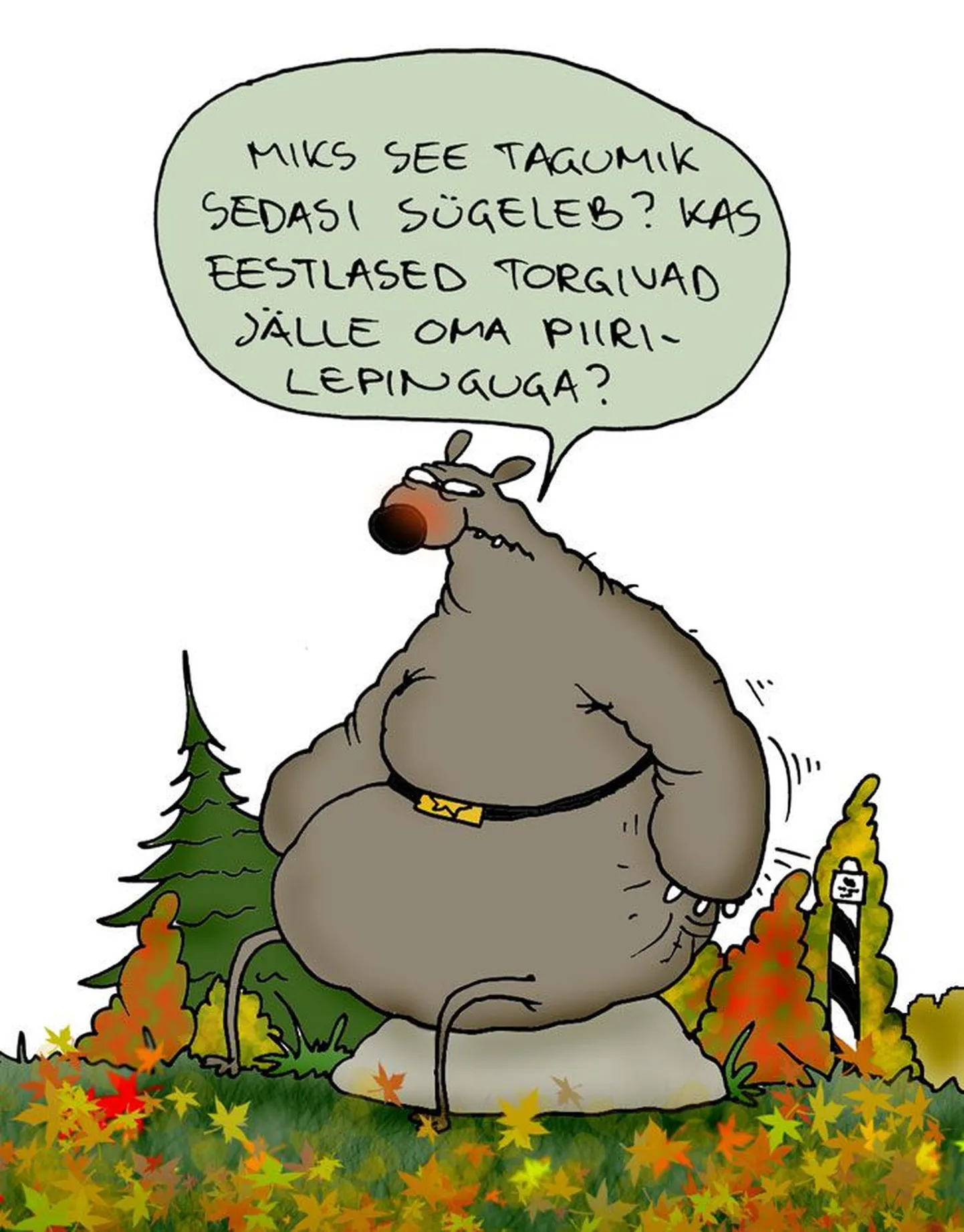 Artikli foto