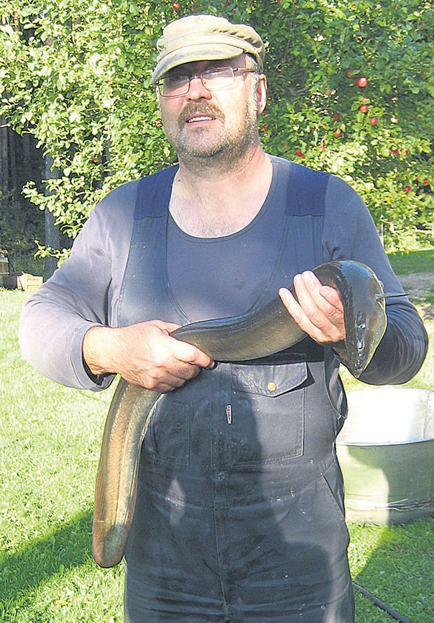 Tarvastu kalur Aivar Kärp püüdis eile hommikul Võrtsjärvest umbes kahekümneaastase angerja.