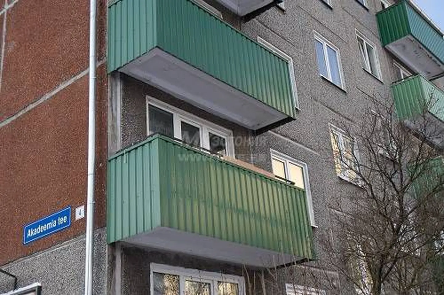 Фото статьи