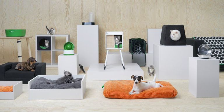 IKEA lemmikloomadele mõeldud kollektsioon.