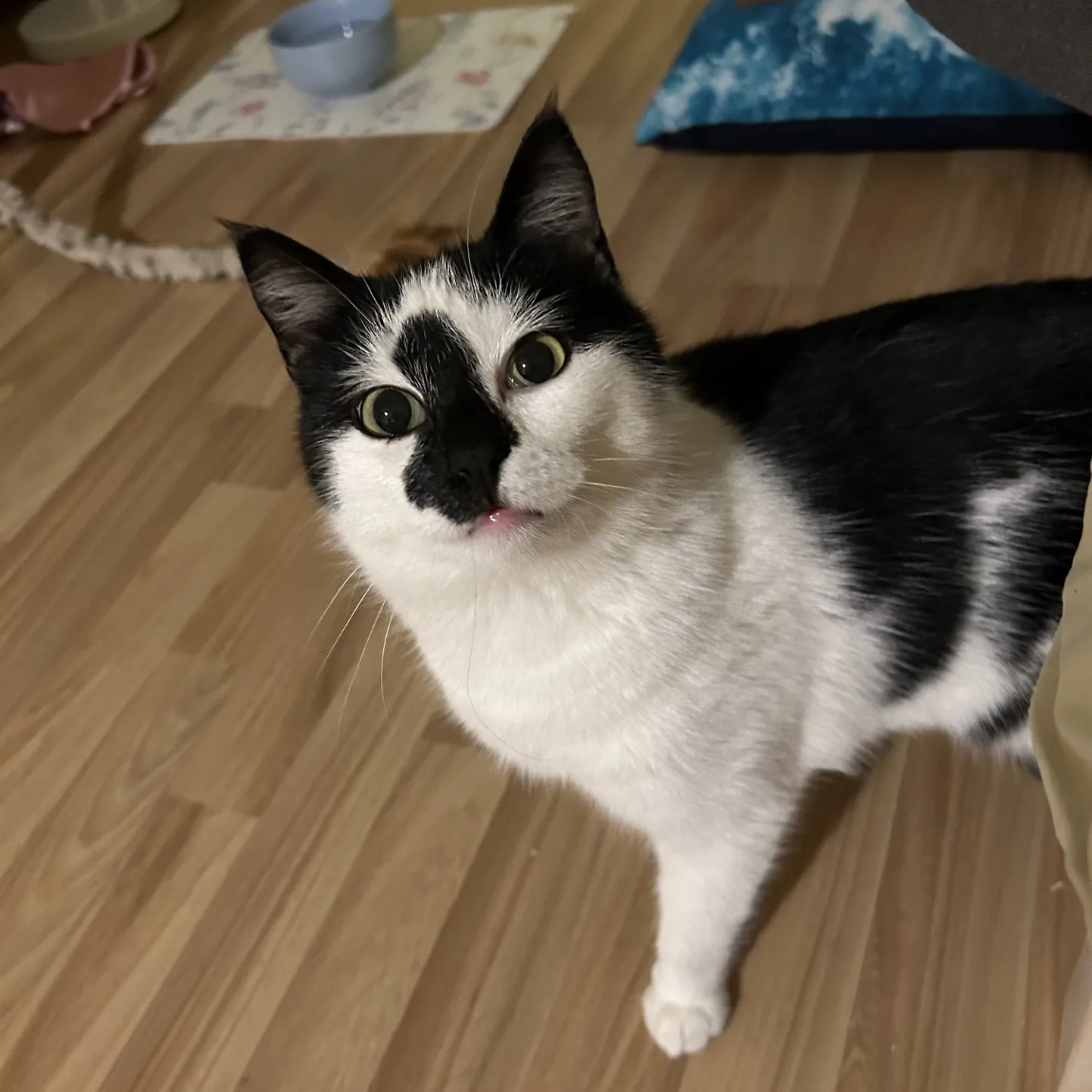 Hera
