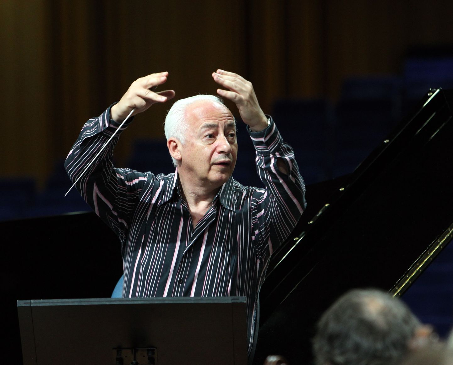 Dirigent Vladimir Spivakov.