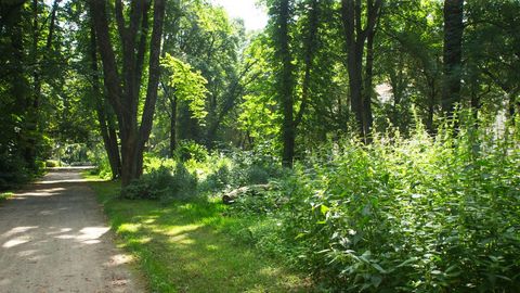 Mis tähendab poliitikute väide, et rohealad tuleb korda teha?​