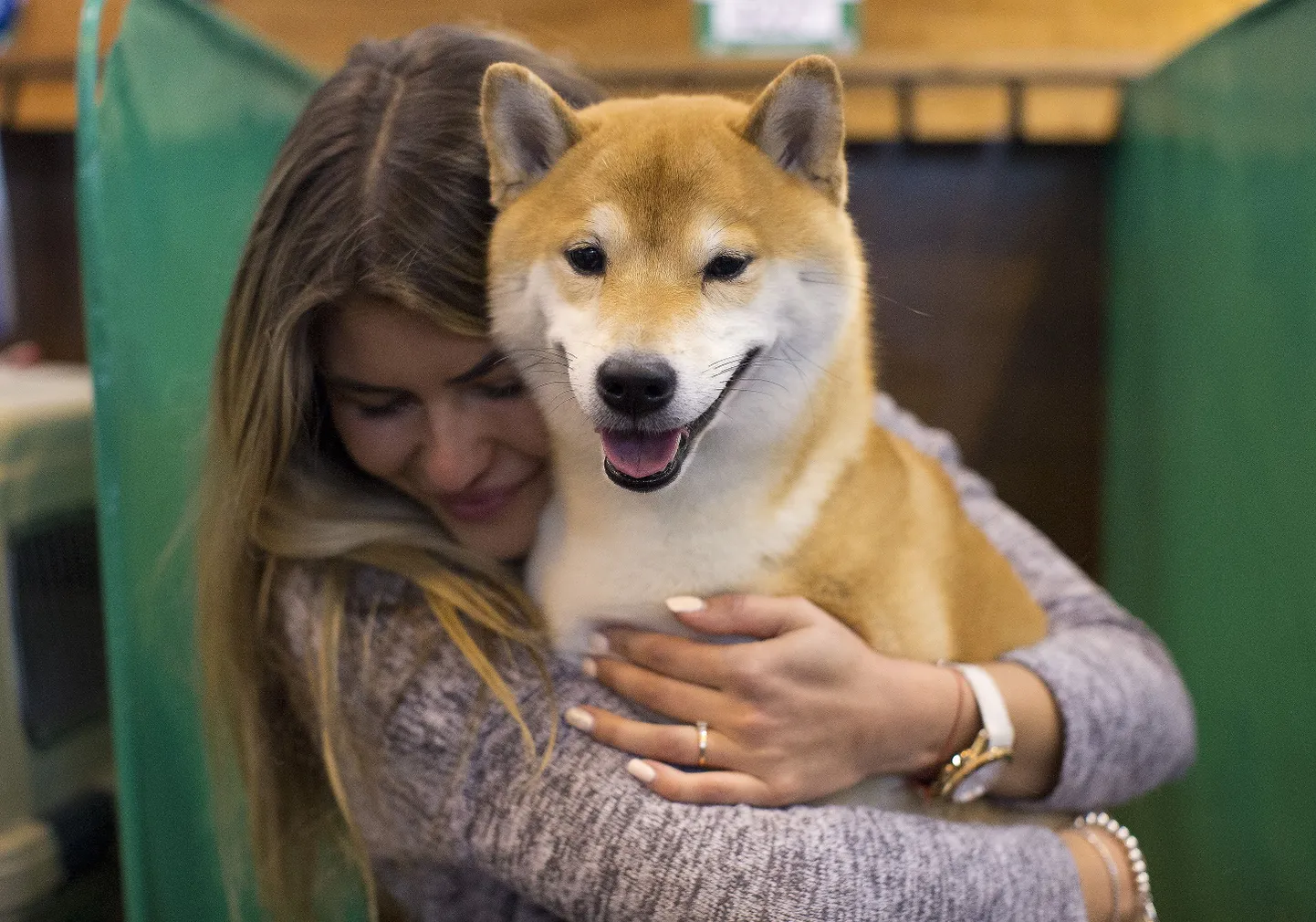 Shina inu peaks olema Neitsile hea kaaslane.
