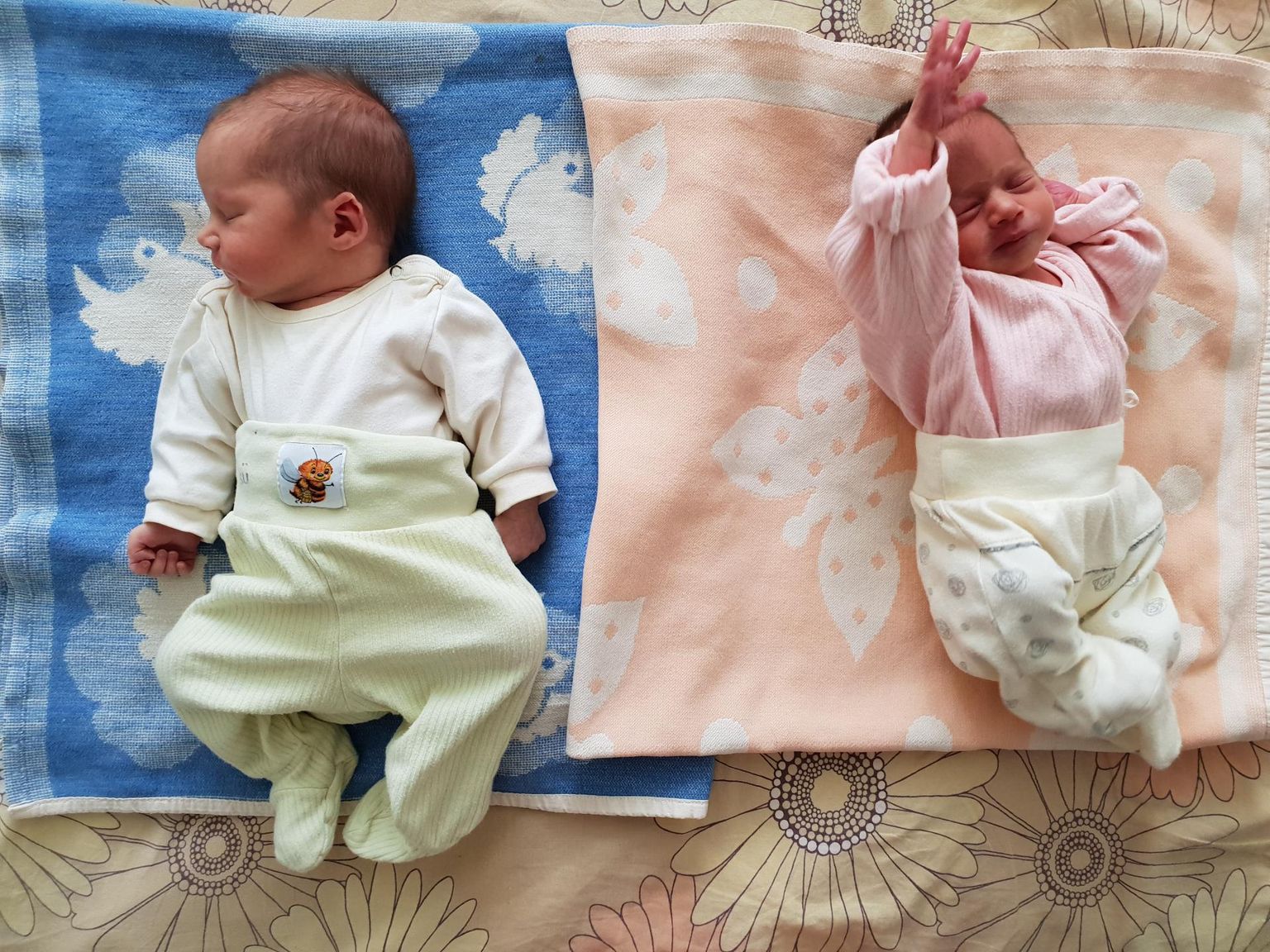За три дня в Пярнуской больницы родилось три пары близнецов.