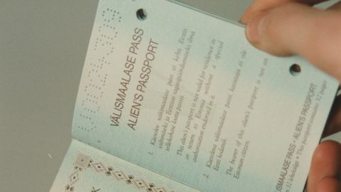Valitsus tahab lõpetada Eestis sündivate laste halli passi süsteemi