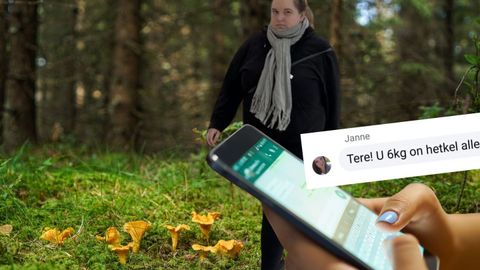 Väsimatu saripettur tegutseb uuel alal! «Kandsin raha ära ja need kukeseened jäidki saamata!»