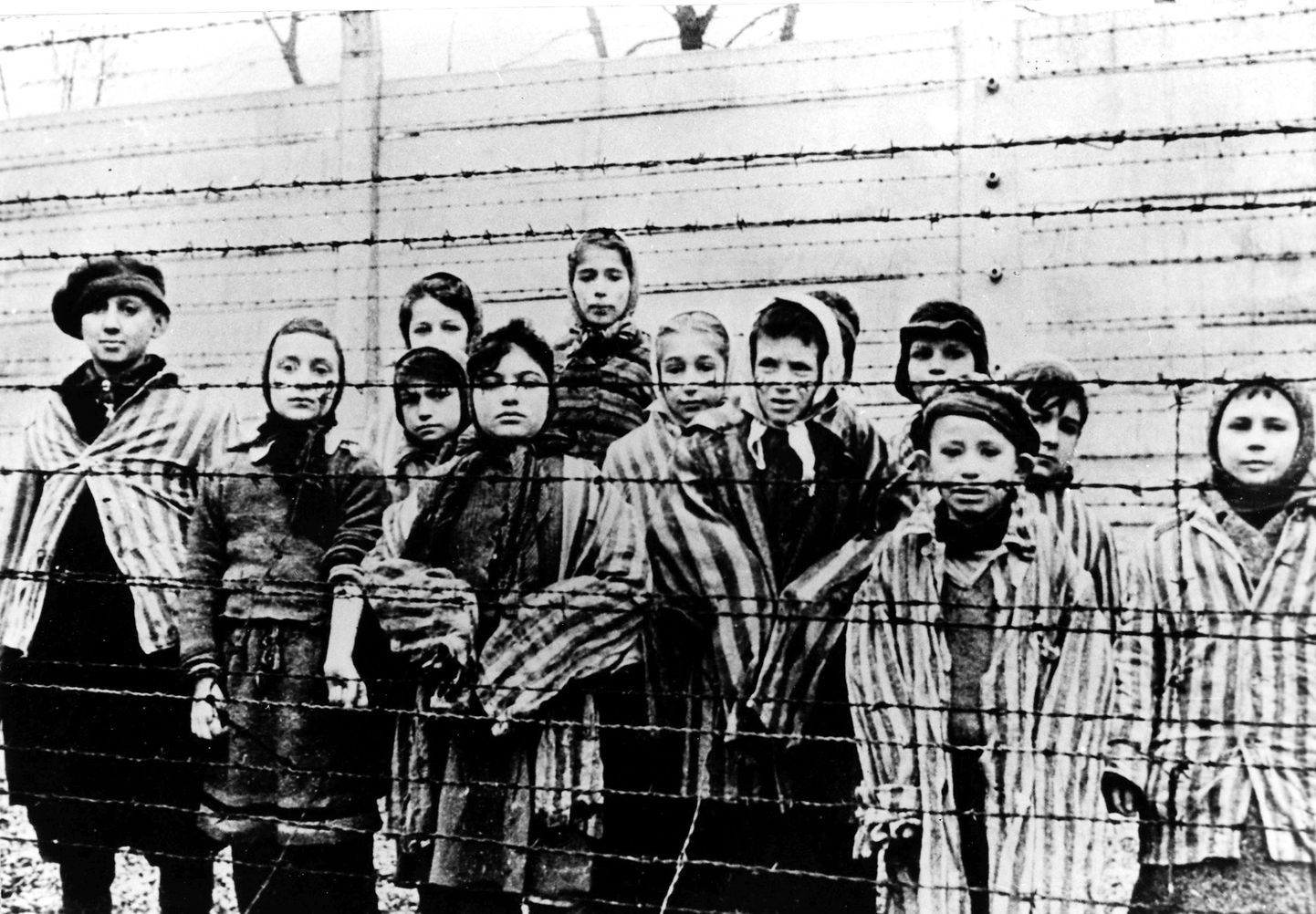 Lapsed, kes jäid ellu Auschwitzi (Oświęcimi) koonduslaagris. Pilt on tehtud jaanuaris 1945.