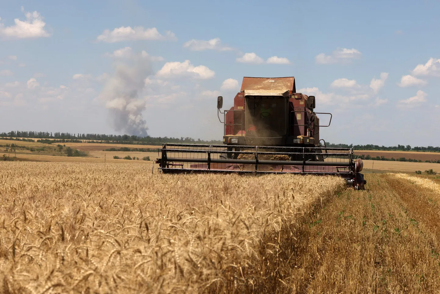 Сбор урожая в Украине.