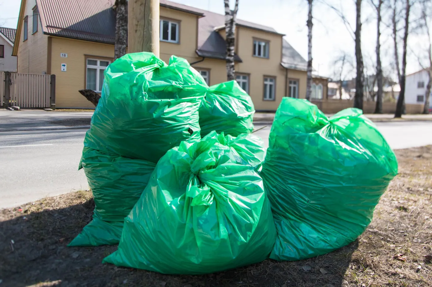 Väljakutseteks on näiteks elu kilekotivabalt, keemiavabalt või ühekordse plastiku vabalt, taaskasutus ning uute asjade ostmise vähendamine, väiksem vee ja elektrienergia tarbimine.