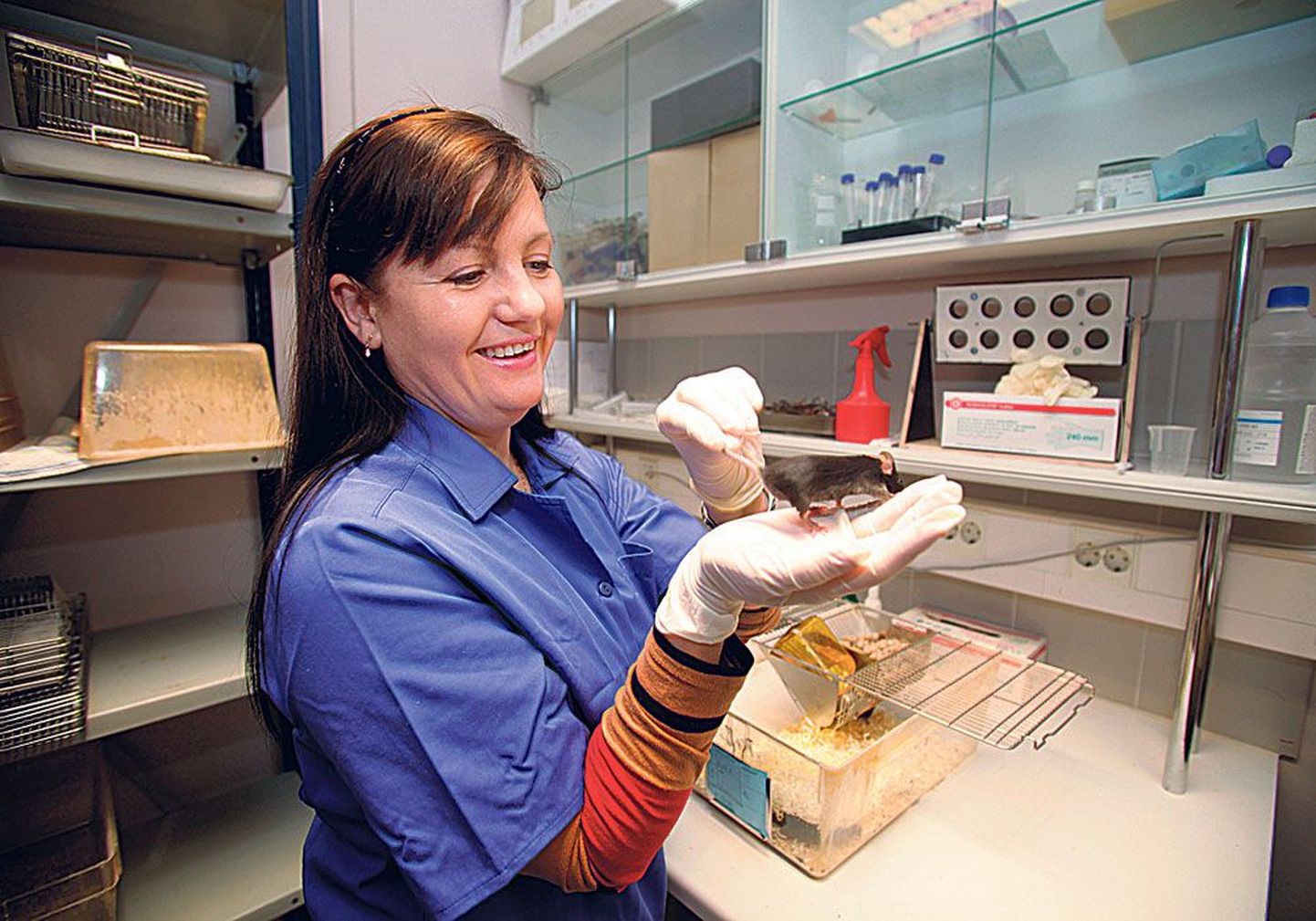 Моника Юргенсон из института фармакологии ТУ часами наблюдала за поведением подопытных мышей.
