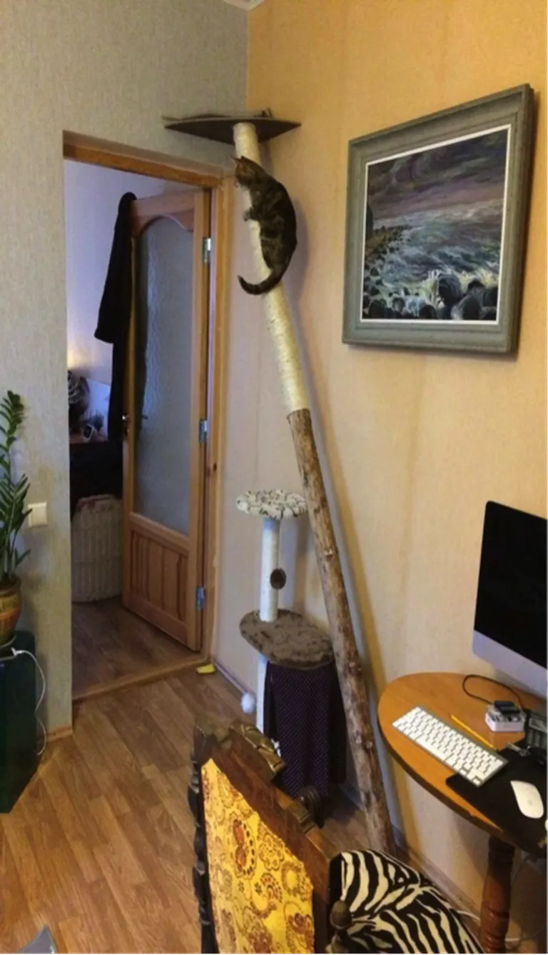 Foto: