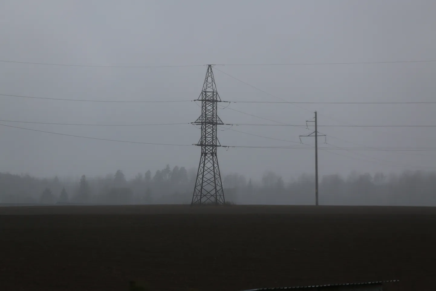 Elektriliin Võrumaal sombusel kevadpäeval.