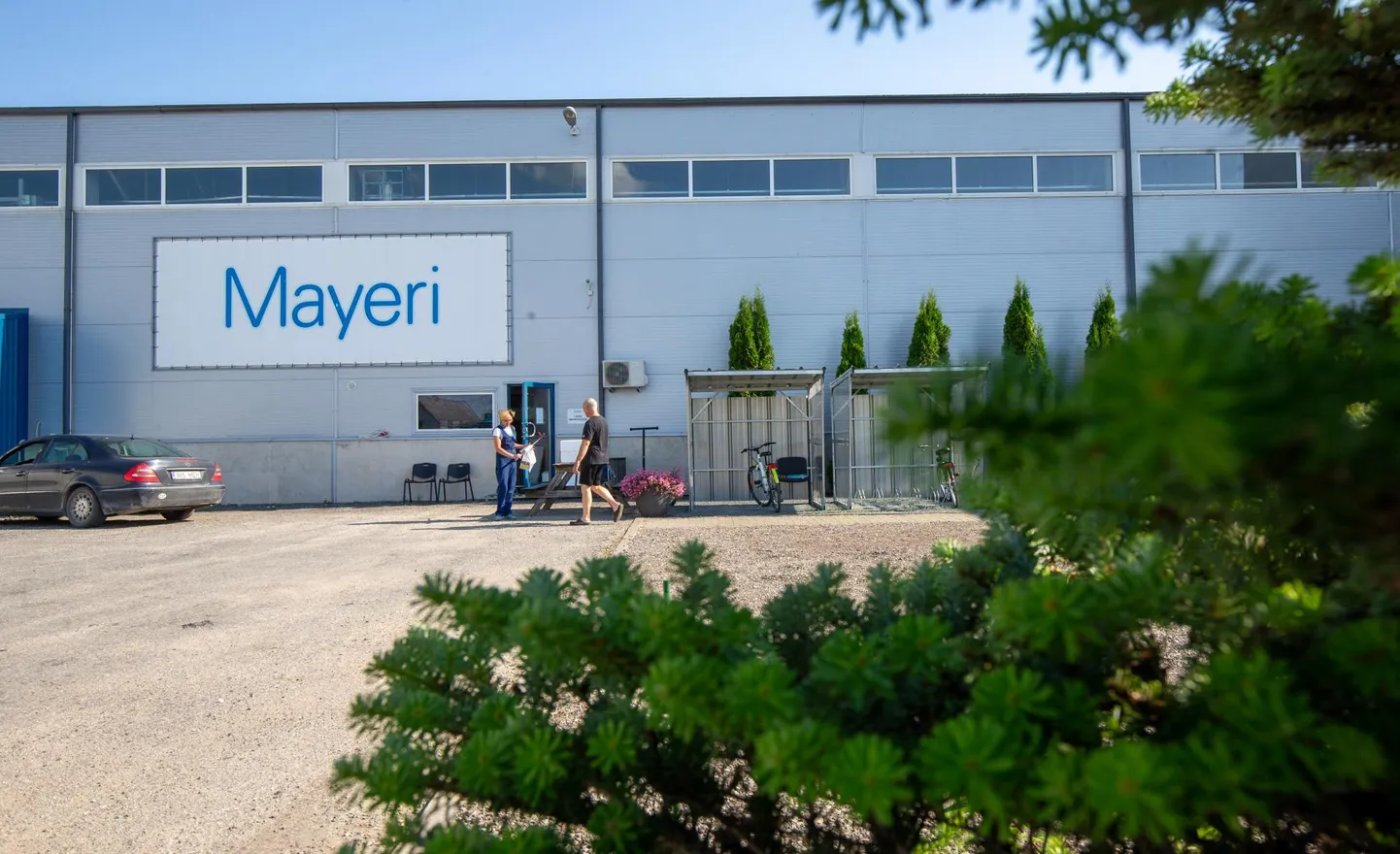 Kuigi veevärk sulges jaanipühade eel Mayeri tehase kanalisatsiooni äravoolu, töötab tehas endistviisi edasi. Reovett viiakse kogumispaakidest ära kaks korda nädalas.