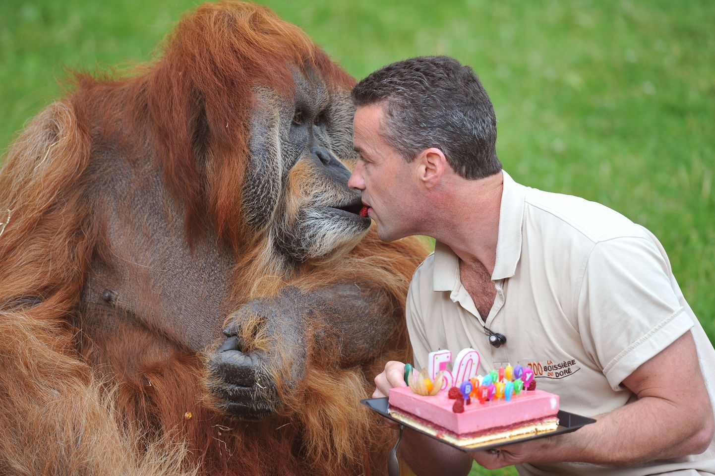 Loomaaia juht Sebastien Laurent ja juubilarist orangutan Major