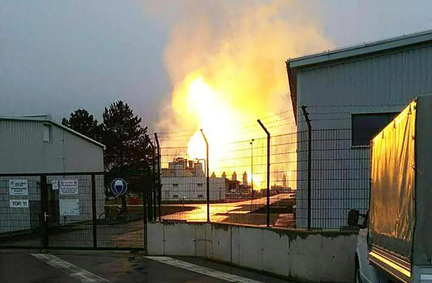 Raksta foto