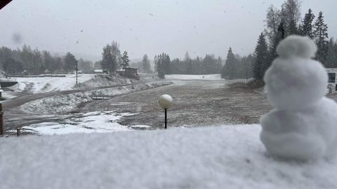 В Южной Эстонии выпал первый снег
