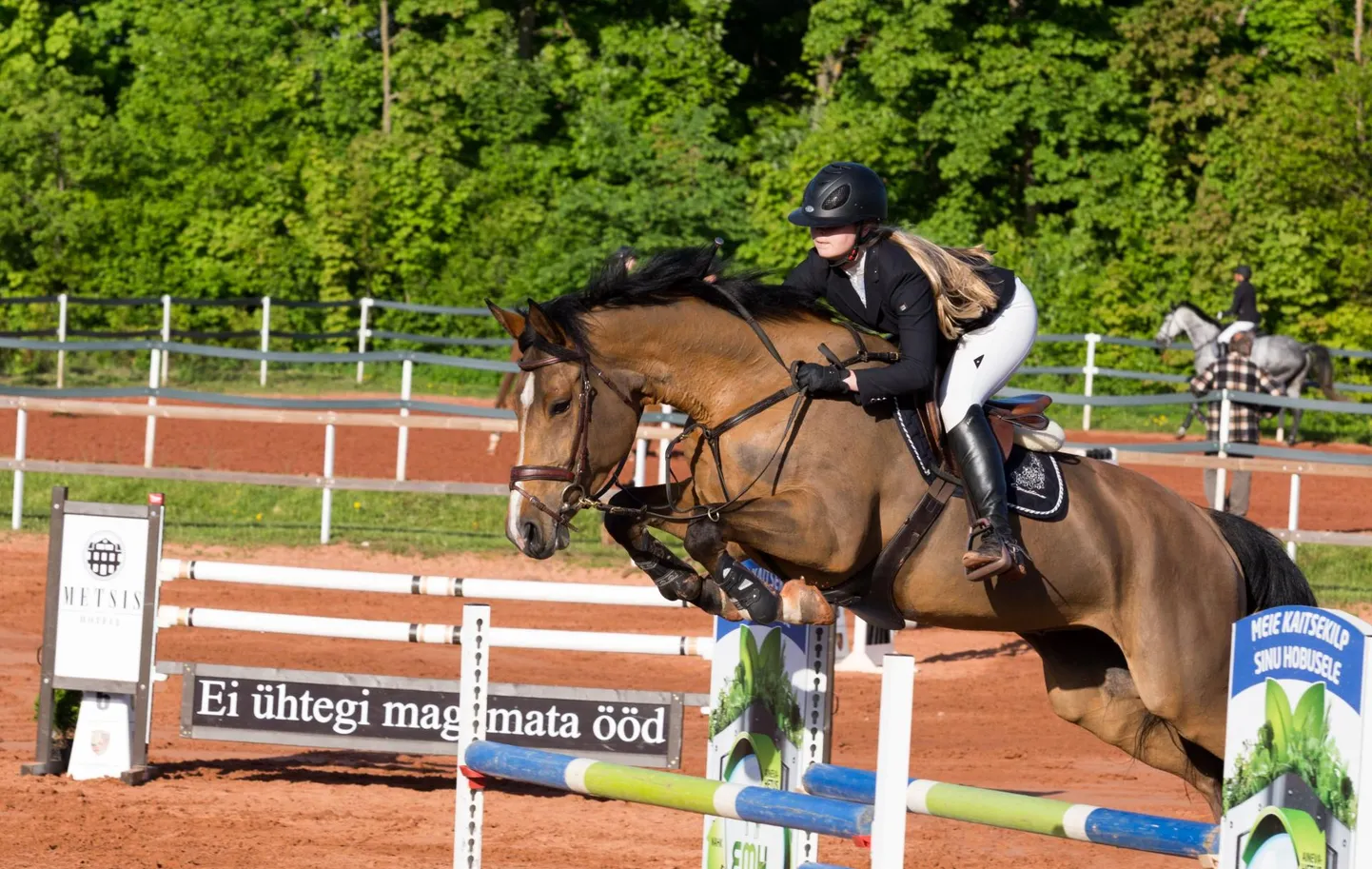Homsest pühapäevani on Sammuli ratsaspordiväljakul kõvasti sebimist ja hüppamist, sest kolme päeva vältel tuleb seal 20 eri taseme ja raskusastmega võistlussõitu. Pilt on tehtud mais, kui sealsamas peeti Viljandimaa karikasarja avaetapp.
