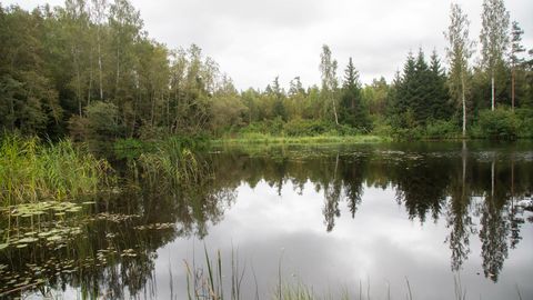 Järvega puhkeala hind on kukkunud enam kui kaks korda
