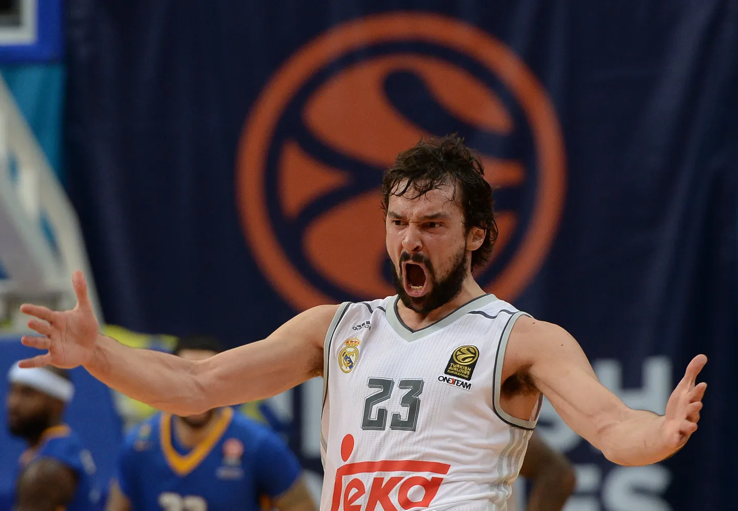 Sergio Llull.