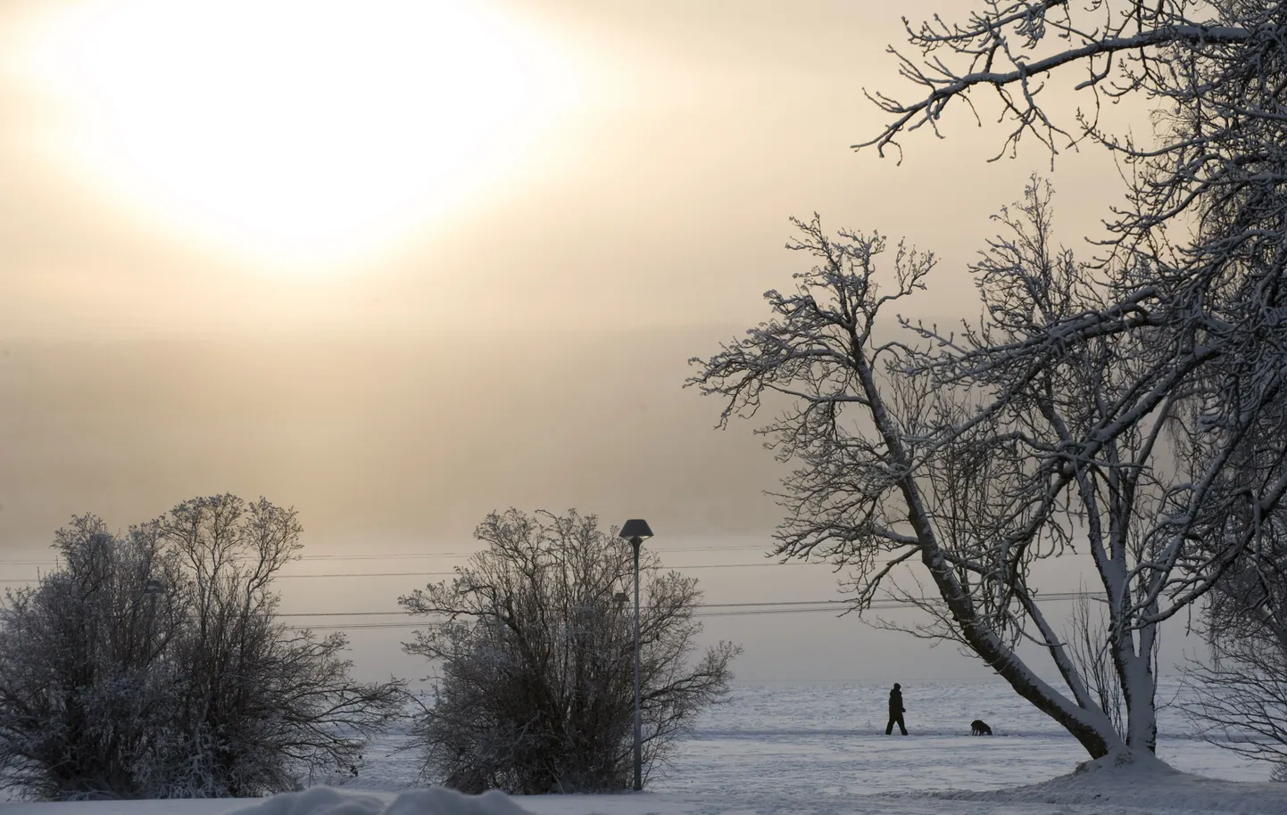 Rootsis Östersundis on praegu talv, varjupaigataotlejate arvates on seal eluohtlik.
