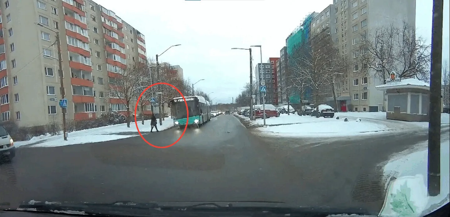 Фото статьи