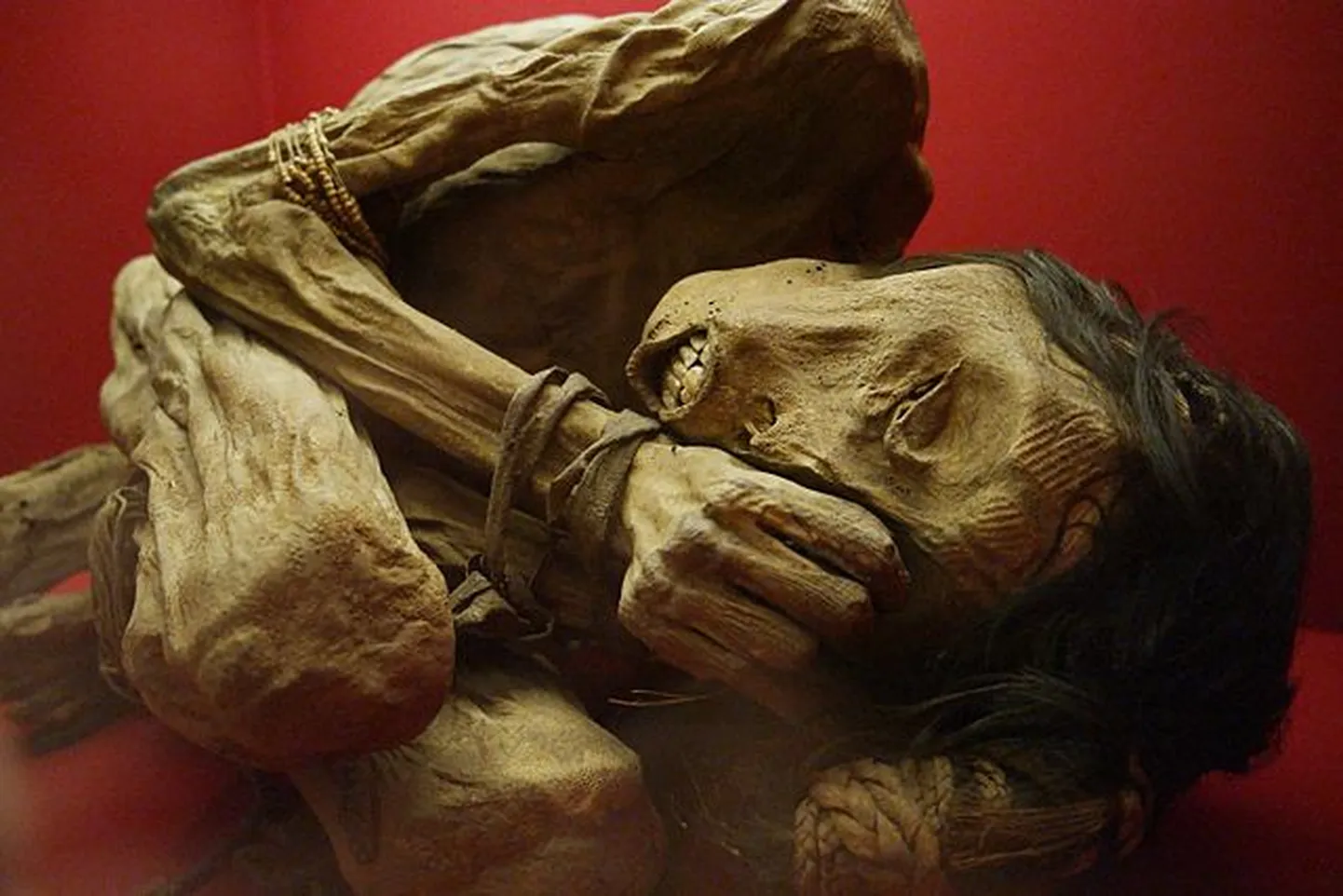 Mumificēta peruāņu vīrieša ķermenis