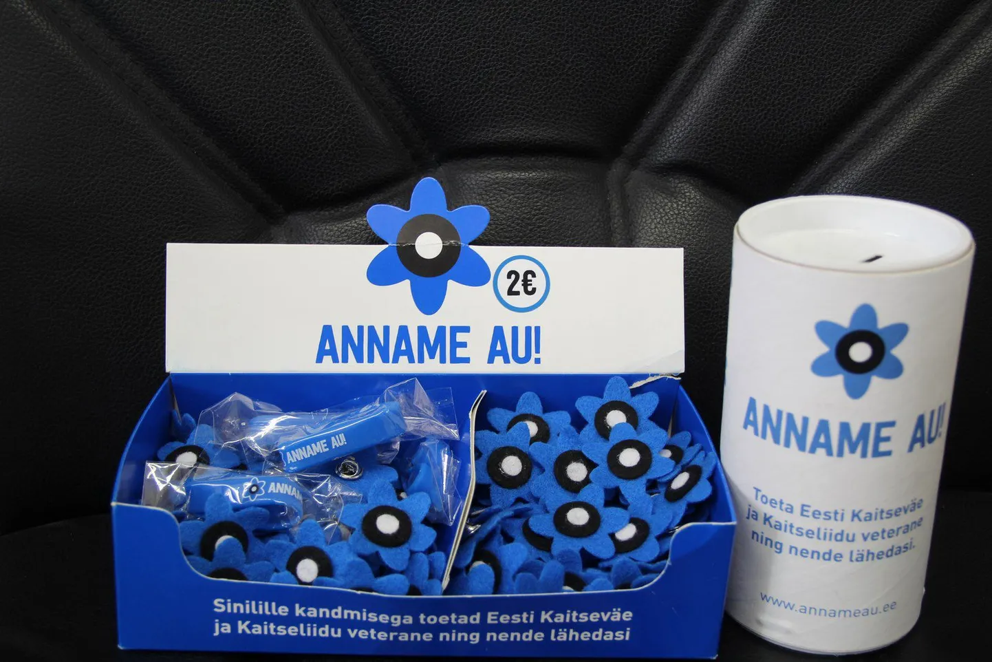Sinilillekampaaniasse sai panustada iga soovija.
