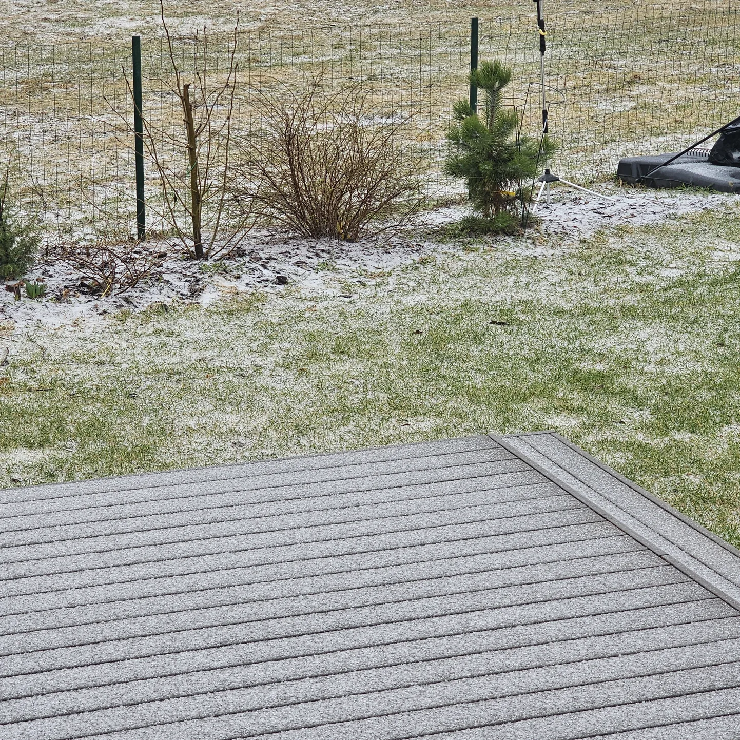 Lumine ollus Võrus 03.04.2024.
