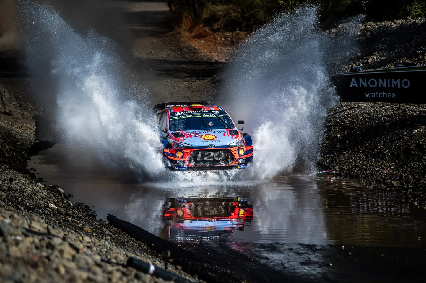 2019. aasta Türgi ralli.