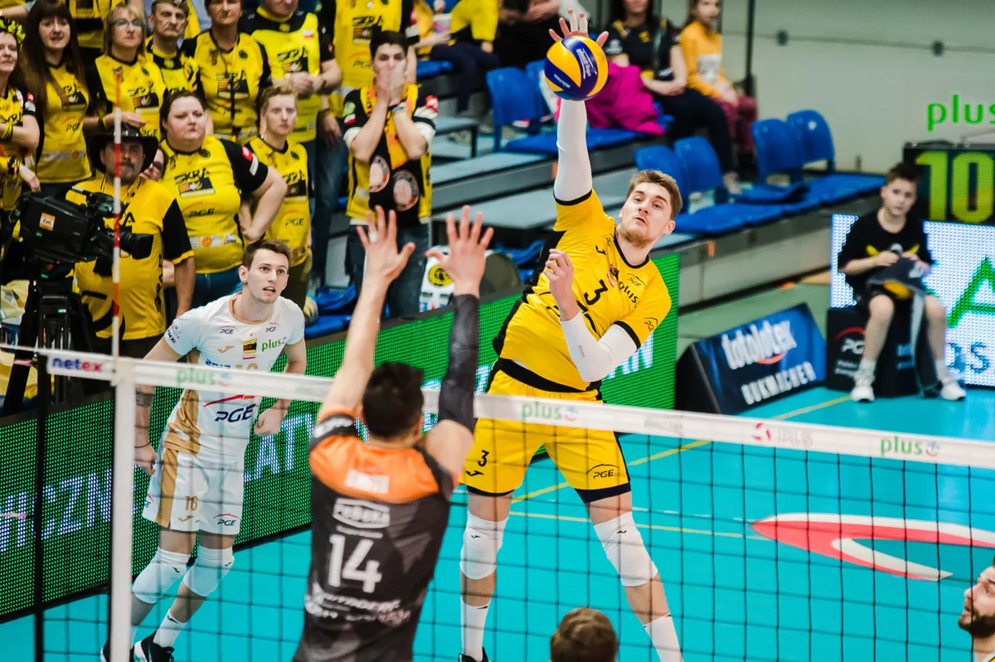 Renee Teppan Belchatowi Skra särgis.