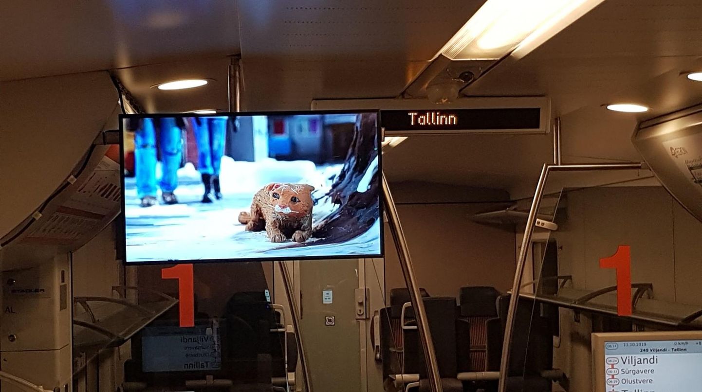 Kodutu kass Teofrastus, kes leiab endale armastavad omanikud, on üks multifilmitegelastest, kelle seiklustele saab rongis sõites kaasa elada.