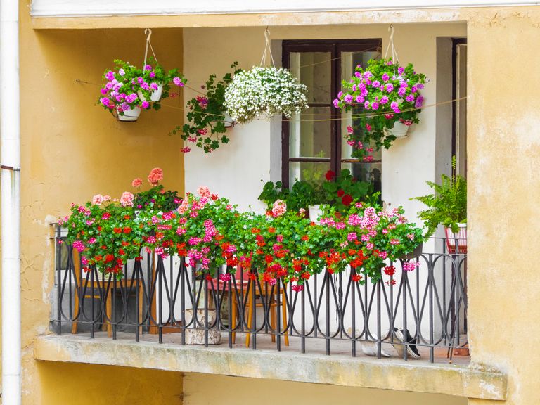 Украшенный цветами балкон.