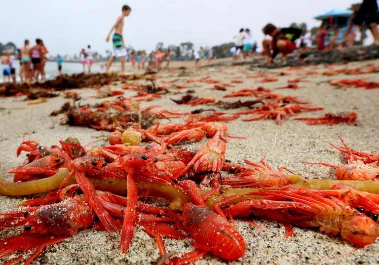 Reuters