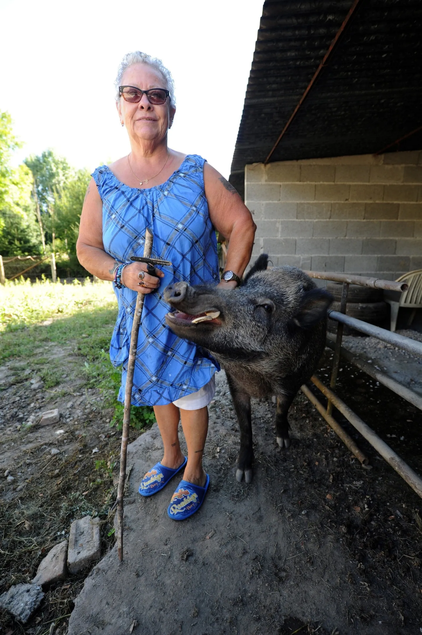 Raksta foto