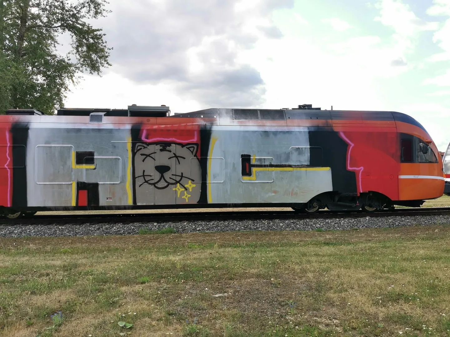 Nädalavahetusel kaeti Elroni rongi vagun grafitiga.