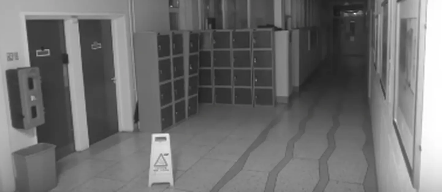 Фото статьи