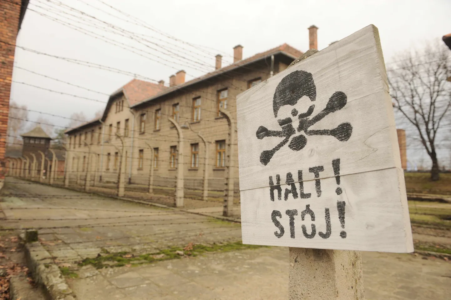Auschwitz