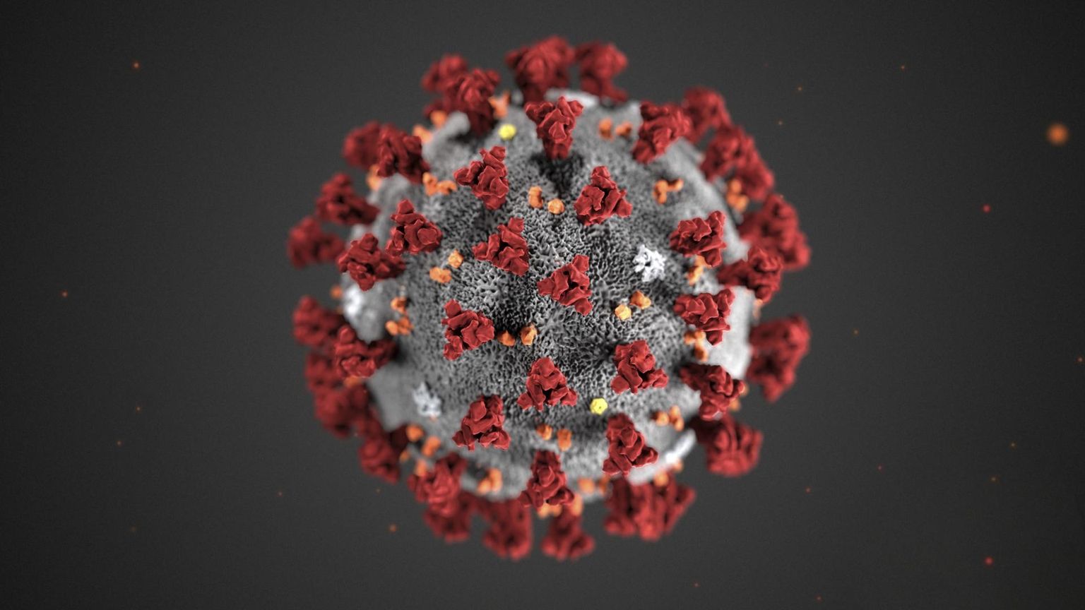 Selline näeb koroonaviirus 2019-nCoV välja, kui seda vaadata mikroskoobi all.