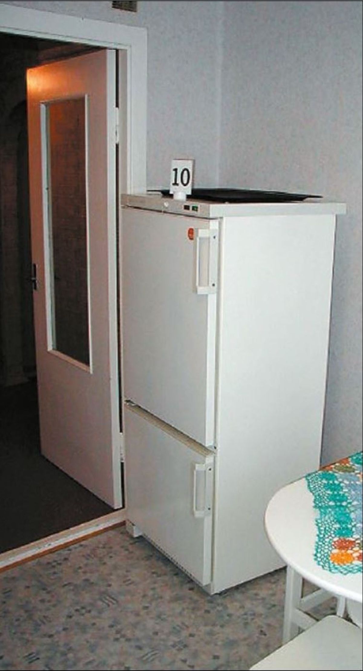 Холодильник на котором был отпечаток руки