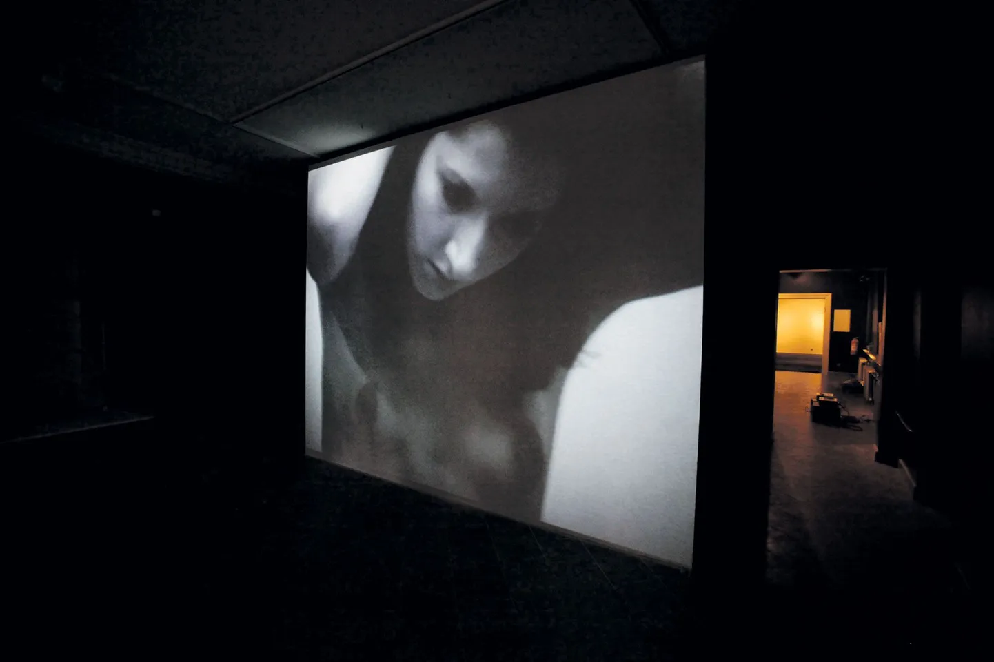 Festivali kunstlise juhi Rael Arteli kureeritud näitusel Tartu kunstimuuseumis saab vaadata suurel ekraanil Marina Abramoviit tema videos «Art must be beautiful. Artist must be beautiful» (1975). Näituse ülespanek oli eile pildistamise ajal veel pooleli.