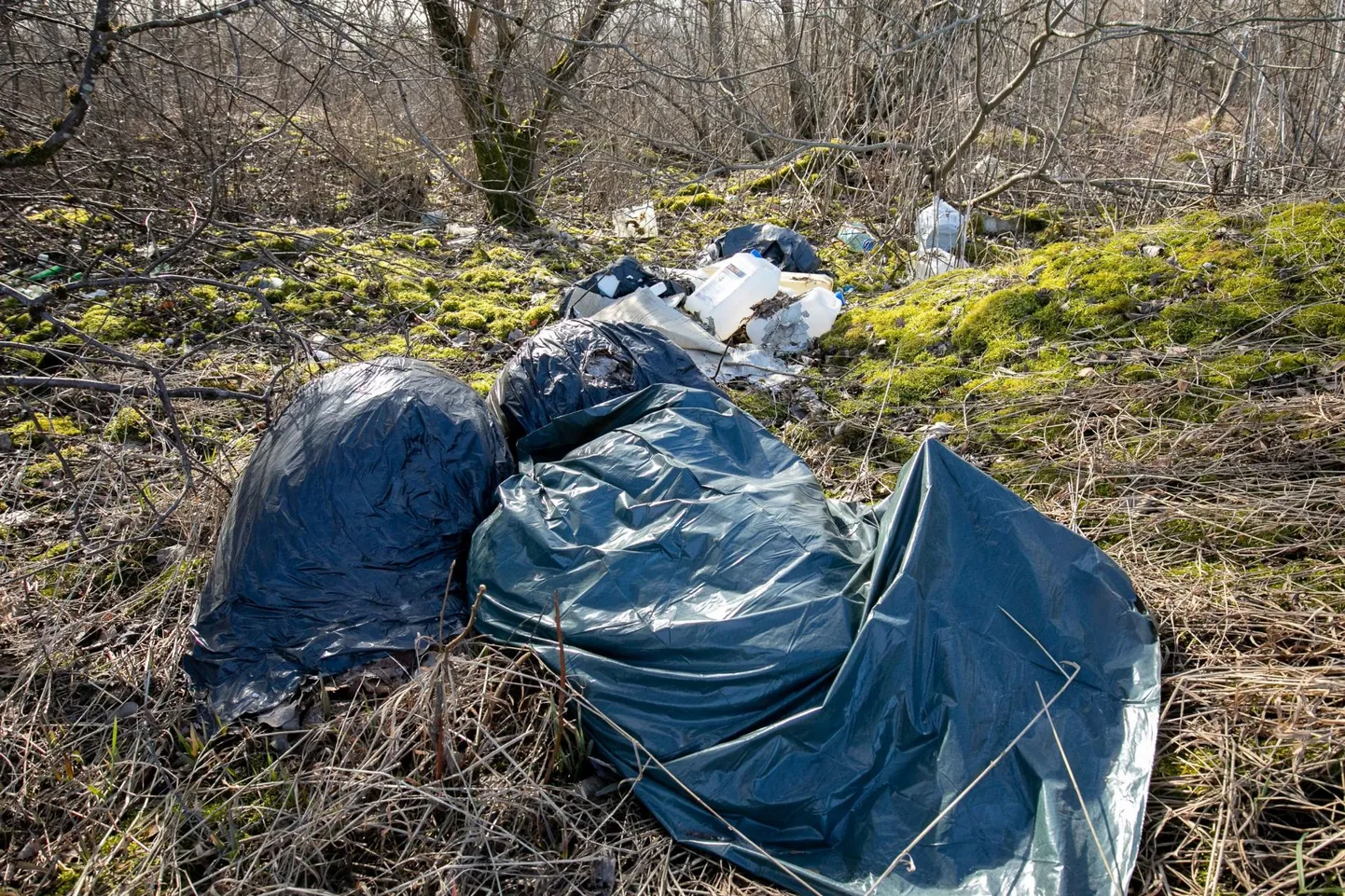 Endiselt leidub inimesi, kes veavad prügi metsa alla, mitte jäätmejaama, kus on selle õige koht.