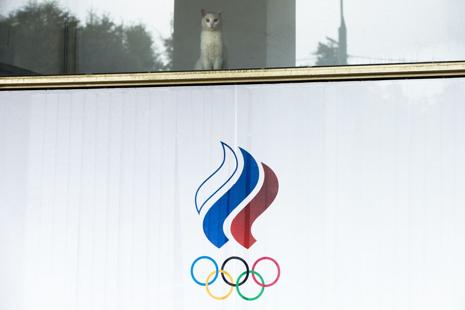 Venemaa koondise sportlased saavad siiski Rios osaleda.
