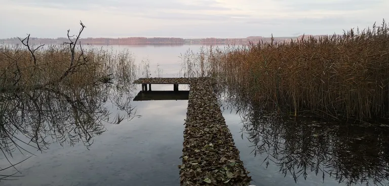 Kui ilm Saadjärve ääres ikka on veidi udune ja hall, siis nii on see ka Huawei mobiiliga tehtud fotol