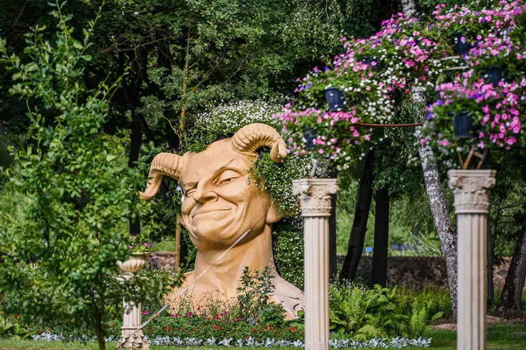 Фото статьи