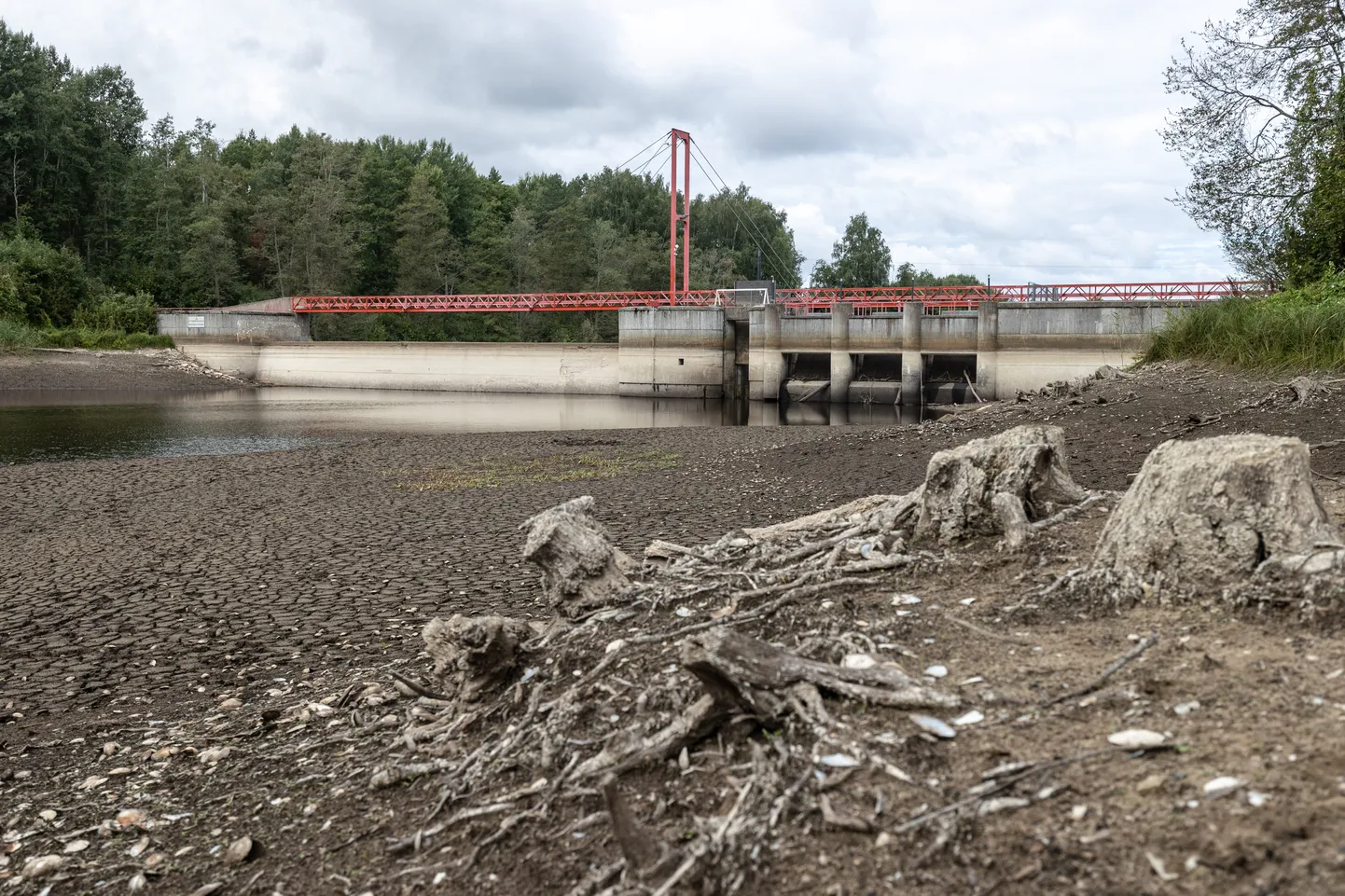 Linnamäe paisjärve alt vabanenud kärestike kaldad.