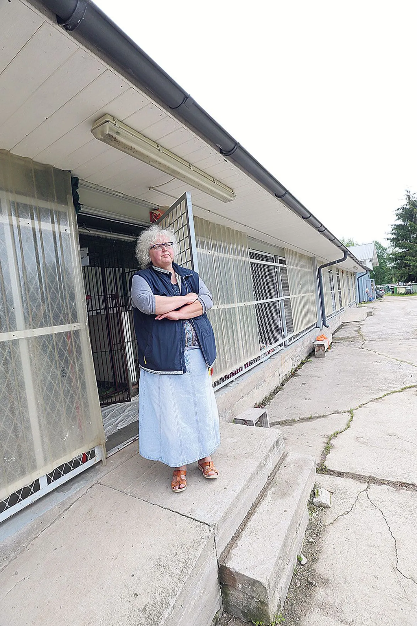 Tartu koduta loomade varjupaiga projektijuhi Kirke Roosaare selja taga olev nn võremaja ootab töömehi, kellel tuleb see praegu ühe lahtise seinaga hoone koerte jaoks soojaks ehitada.