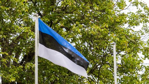 Lastekaitsepäev toob esmaspäeval Eestis riigilipud vardasse