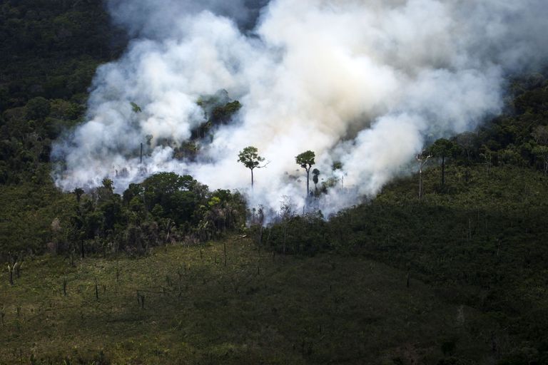 Põleng Amazonase vihmametsas 2014. aastal. Juba siis räägiti Amazonase vaikivast kriisist.
